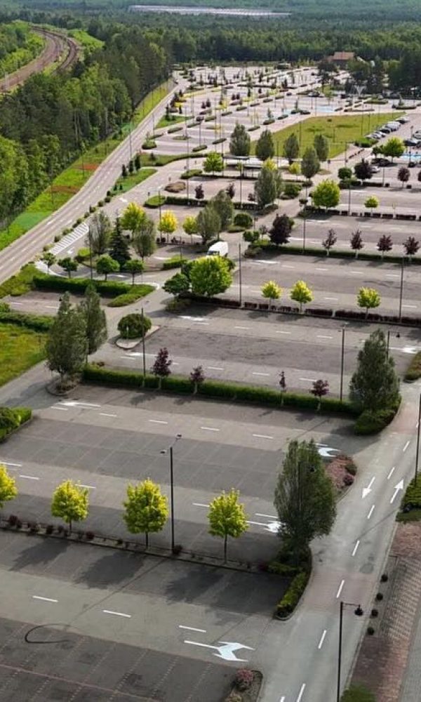 Sosnowiec1