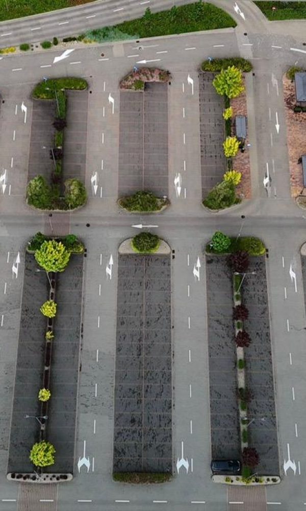 Sosnowiec4